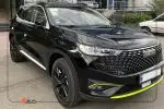شوال 6 هیبرید مشکی